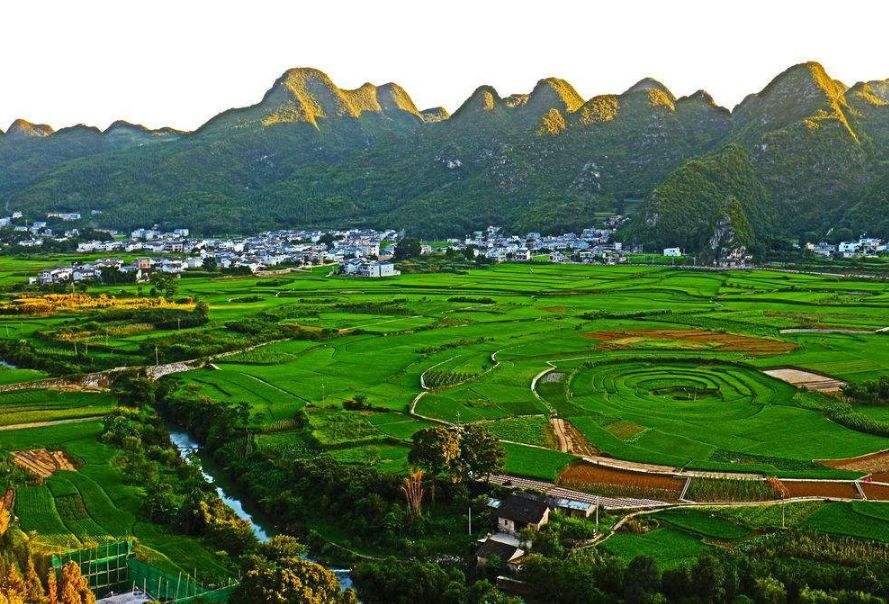  土壤養(yǎng)分檢測(cè)儀