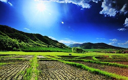 土壤養(yǎng)分快速測(cè)試儀